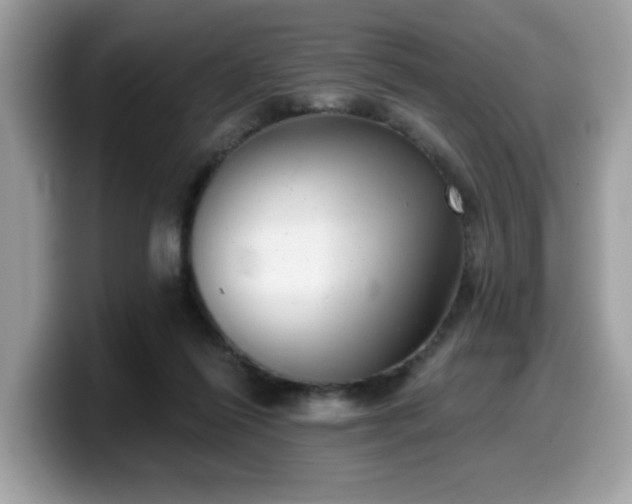 X0000099970262200805301339