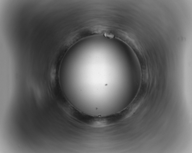 X0000099970263200805301339