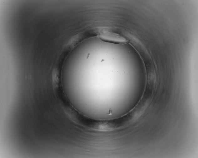 X0000099970264200805301339