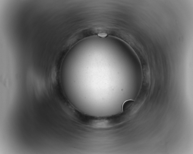 X0000099970266200805301339