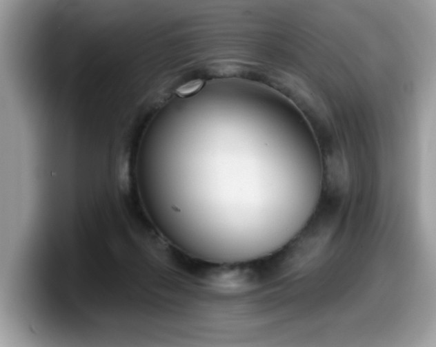 X0000099970267200805301339