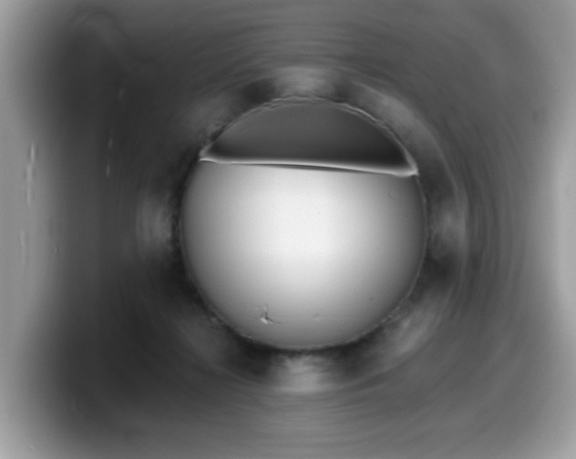 X0000099970268200805301339