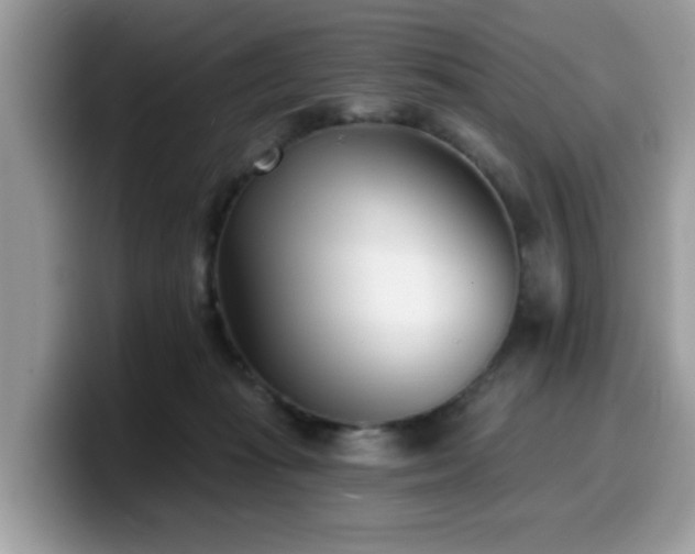 X0000099970269200805301339