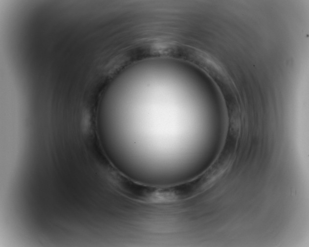 X0000099970270200805301339