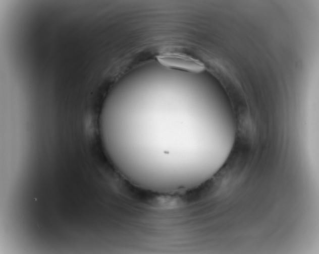 X0000099970272200805301339