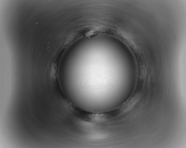 X0000099970273200805301339