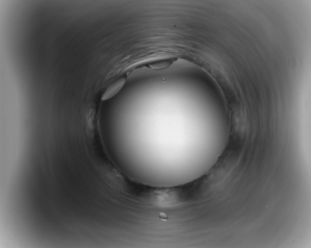 X0000099970275200805301339