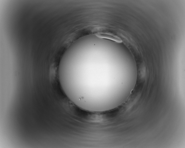 X0000099970276200805301339