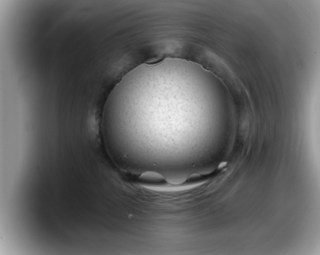 X0000099970282200805301340