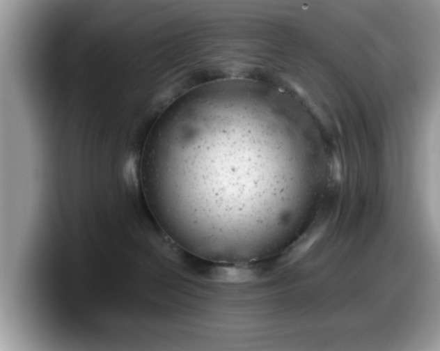 X0000099970286200805301340