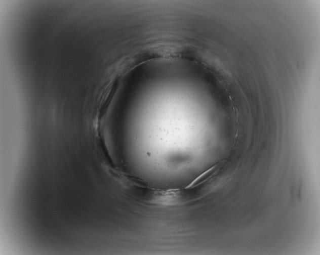 X0000099970288200805301340