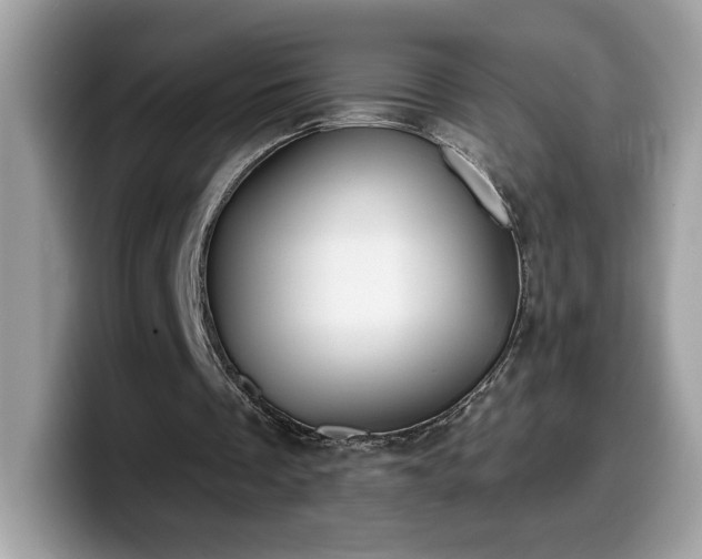 X0000099970289200805301339