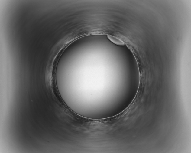 X0000099970290200805301339