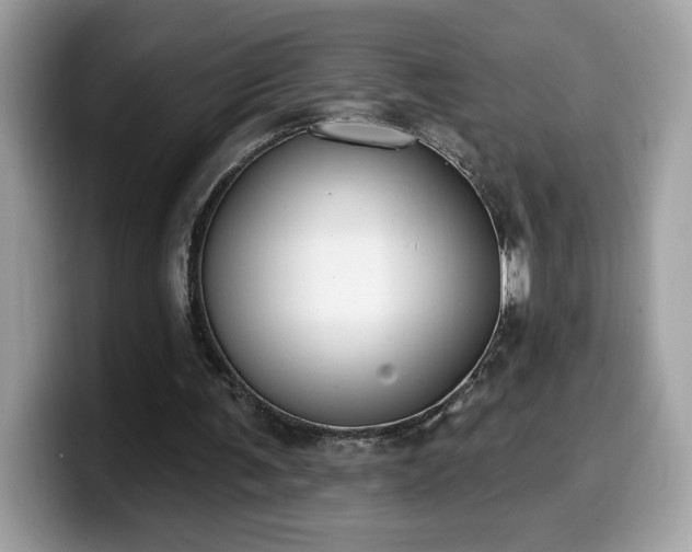 X0000099970291200805301339