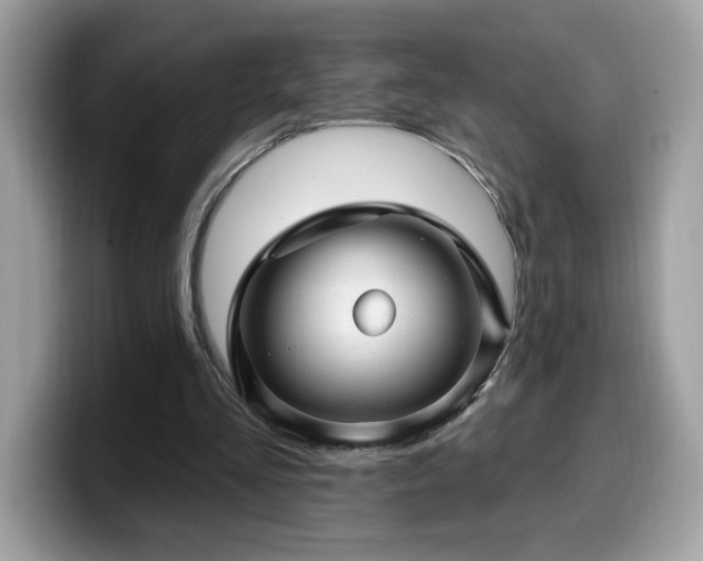 X0000099970293200805301339