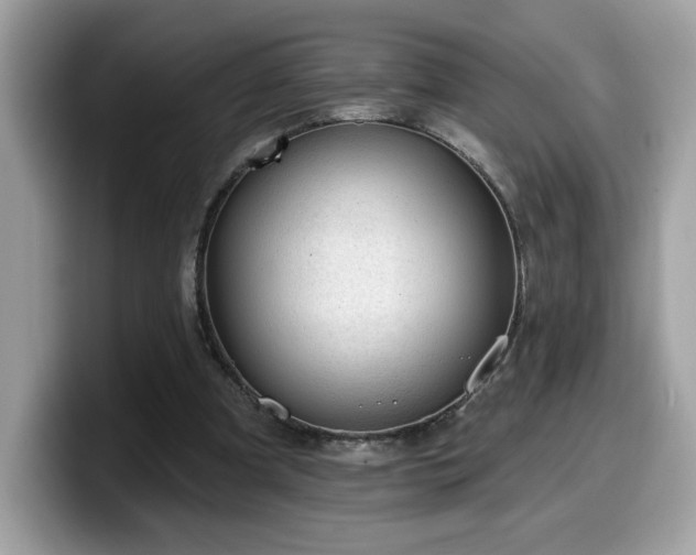 X0000099970297200805301339