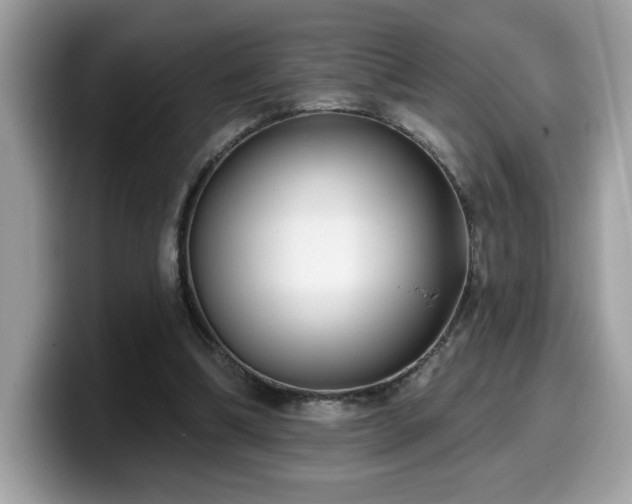 X0000099970298200805301339