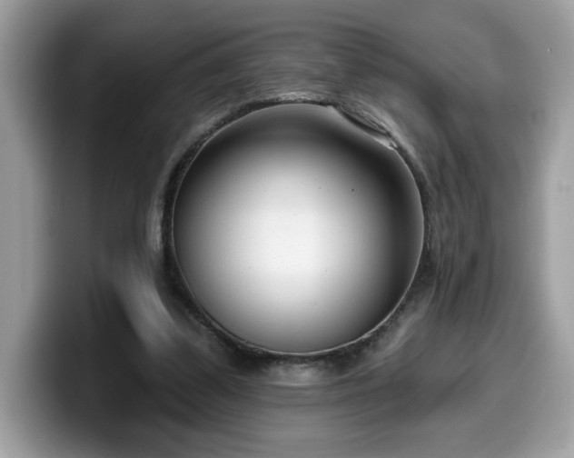 X0000099970299200805301339