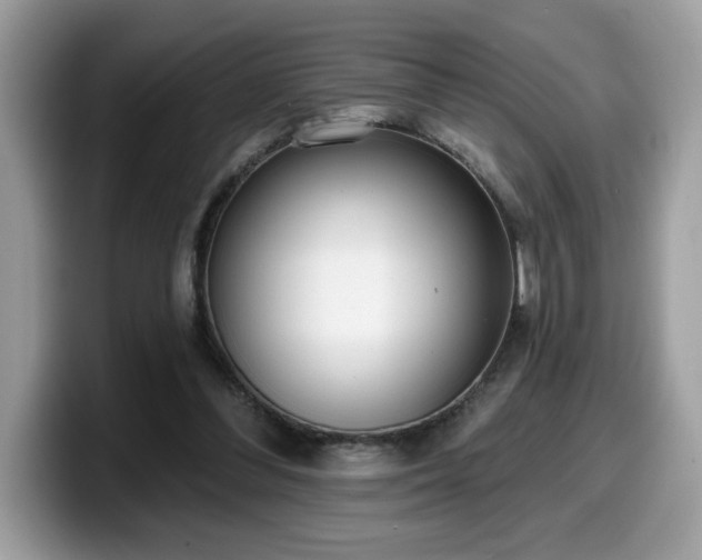 X0000099970300200805301339