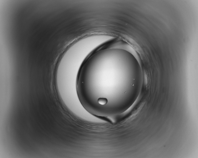 X0000099970301200805301339