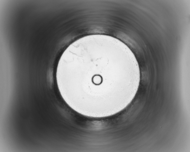 X0000099970302200805301339