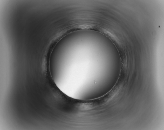 X0000099970303200805301339