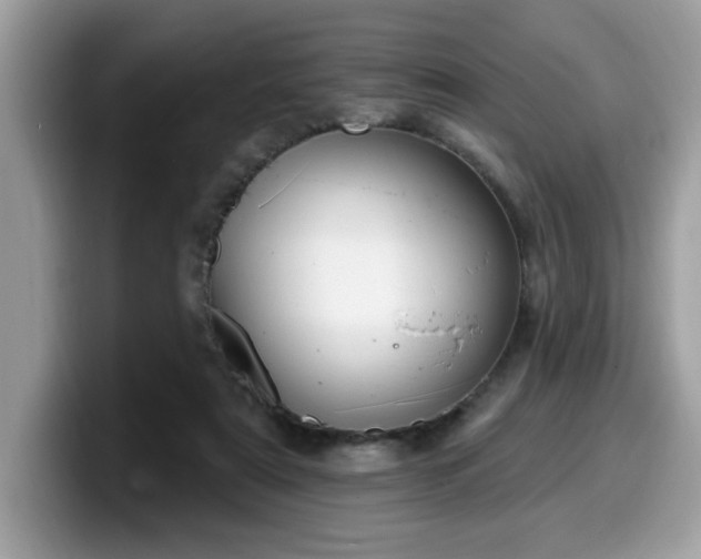 X0000099970307200805301339