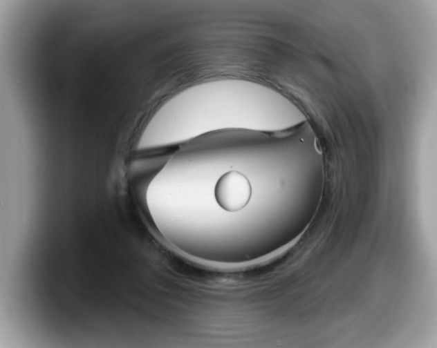 X0000099970308200805301339