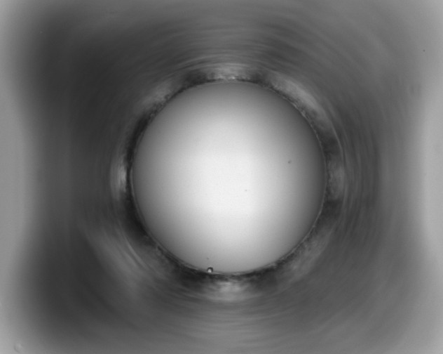 X0000099970310200805301339