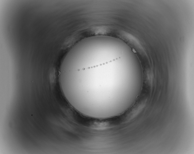 X0000099970311200805301339