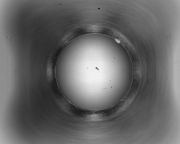 X0000099970312200805301339