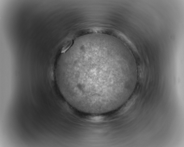 X0000099970313200805301339