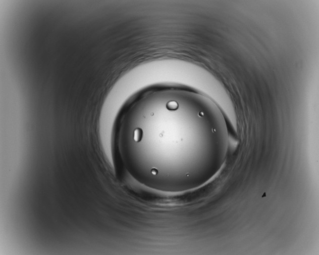 X0000099970316200805301339