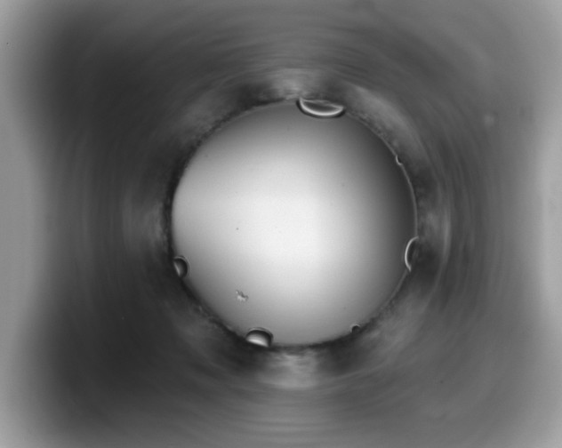 X0000099970317200805301339