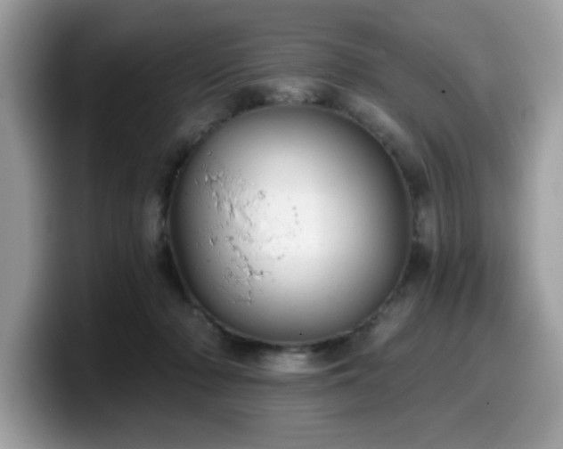 X0000099970318200805301339