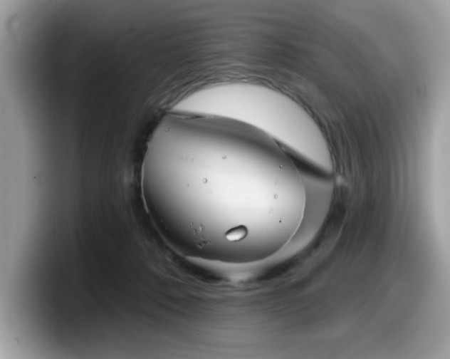 X0000099970320200805301339