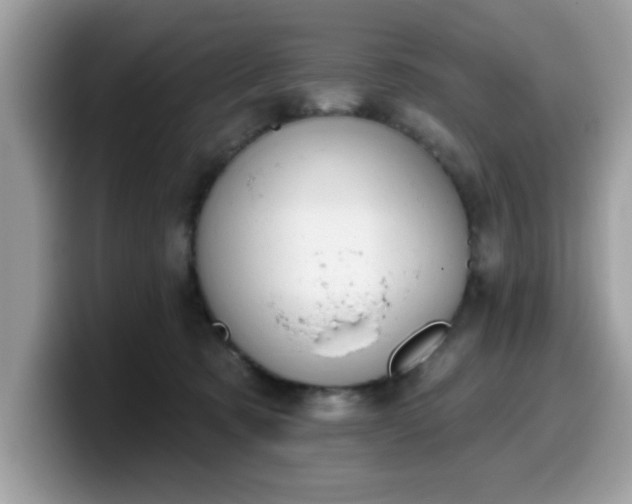 X0000099970321200805301339