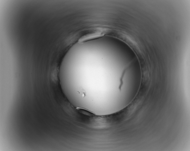 X0000099970325200805301339