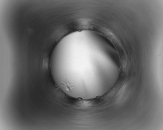 X0000099970326200805301339