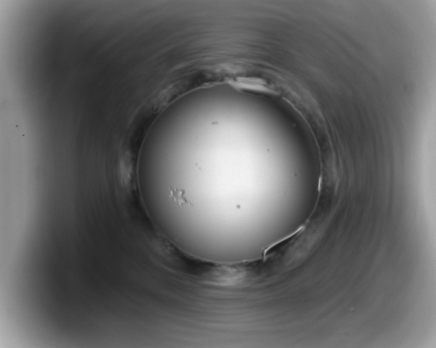 X0000099970328200805301339