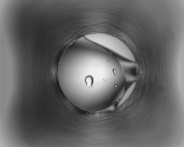 X0000099970329200805301338