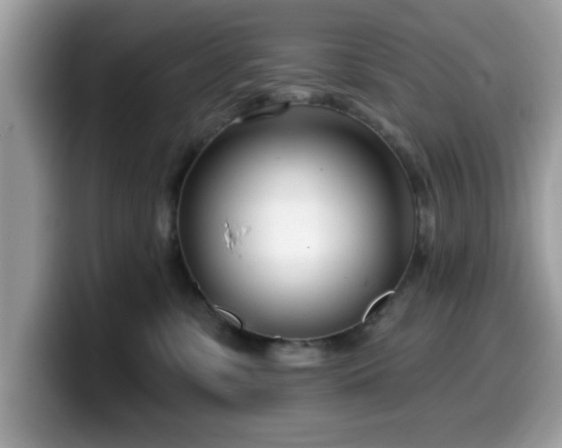 X0000099970331200805301338