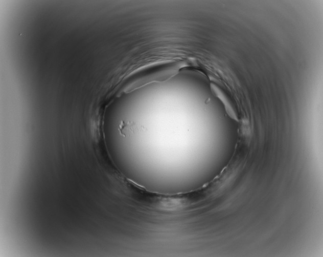 X0000099970332200805301338