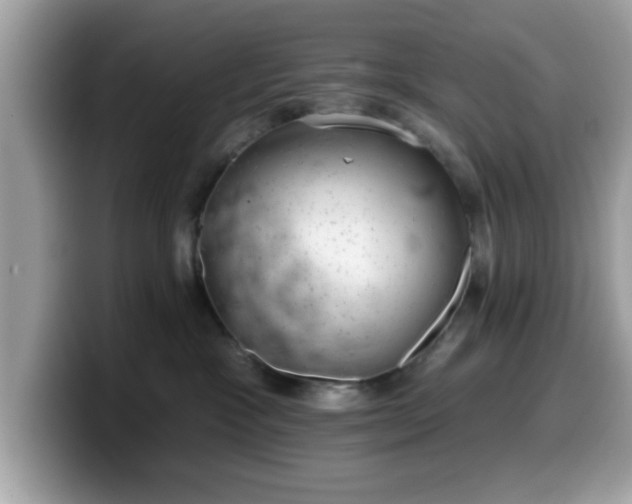 X0000099970333200805301338