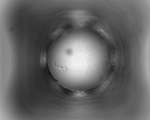 X0000099970334200805301338