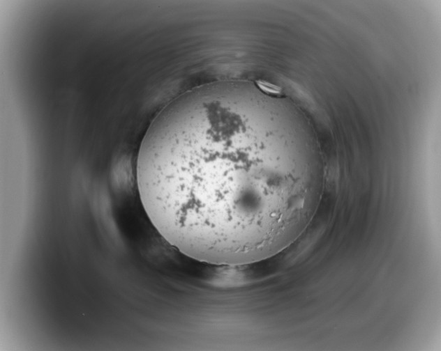 X0000099970335200805301338