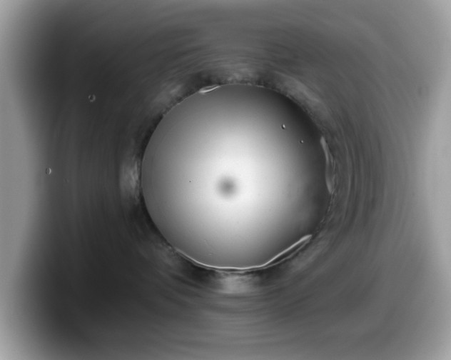 X0000099970336200805301338