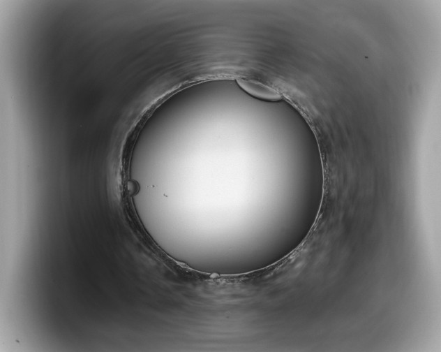 X0000099970338200805301338