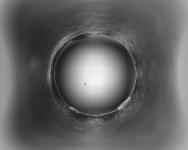 X0000099970340200805301338