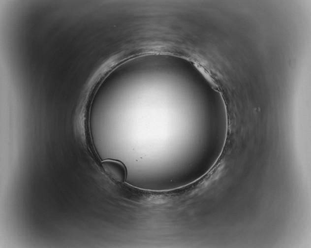 X0000099970341200805301338